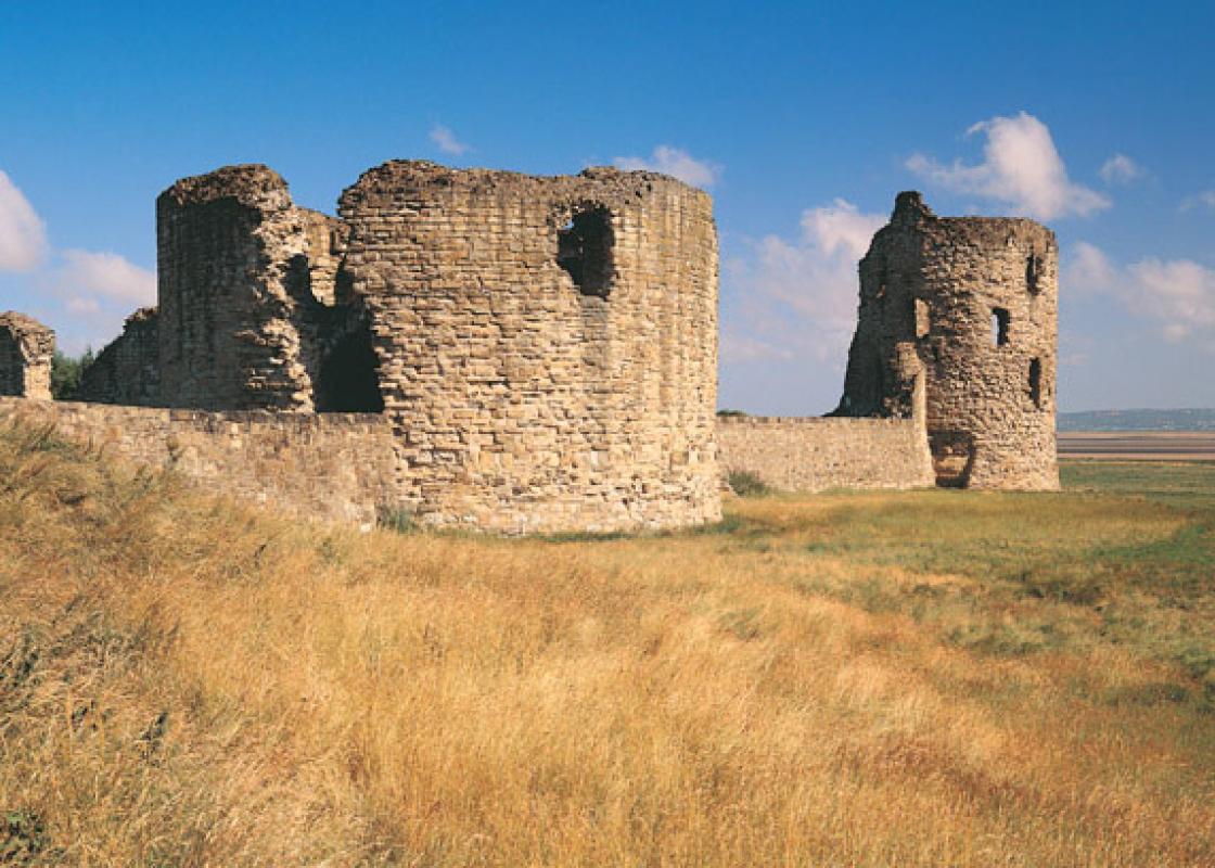 Image 1