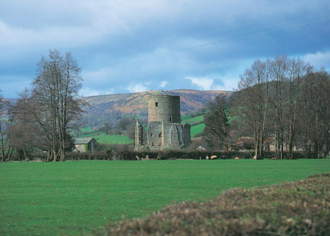 Image 1