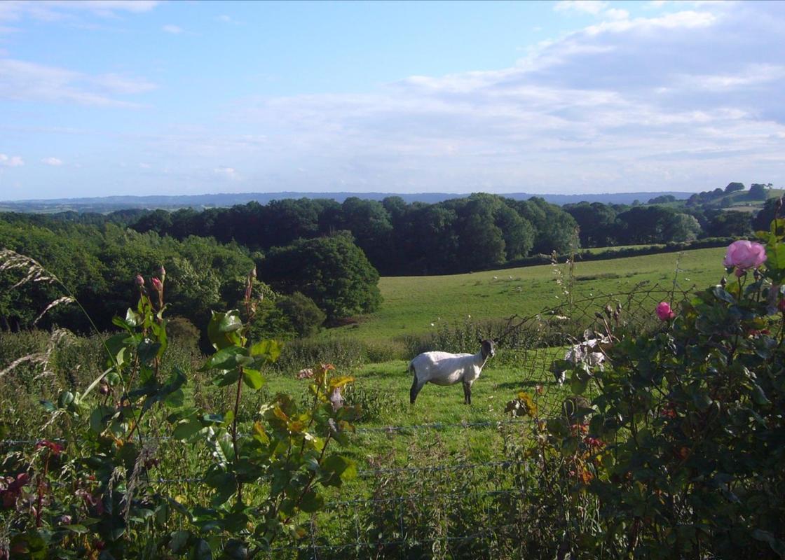 Image 1