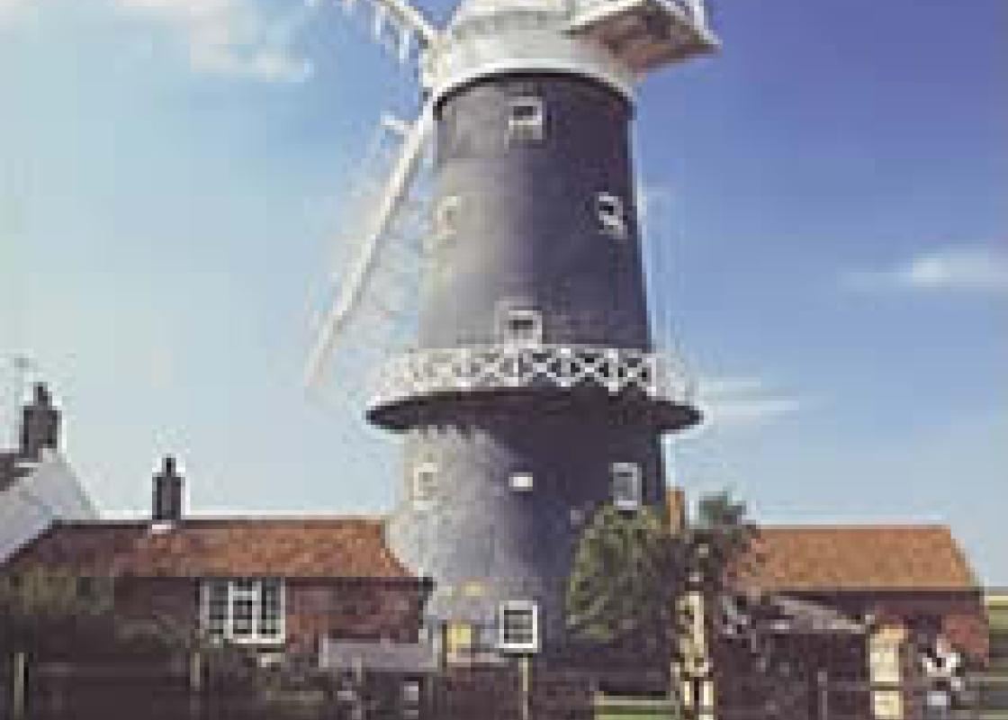 Image 1