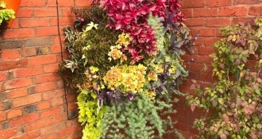 Image 12