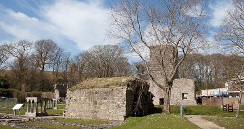 Image 5