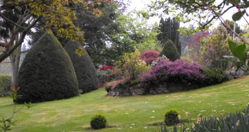 Image 12