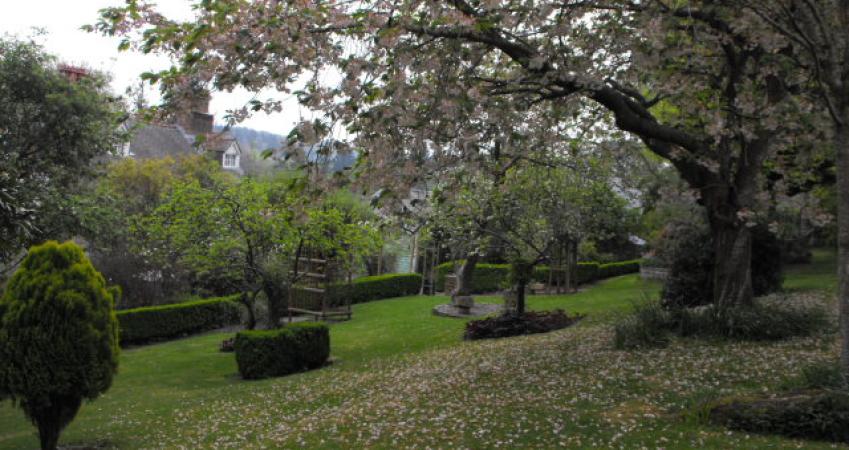 Image 14