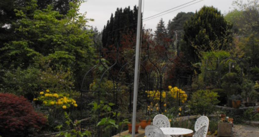Image 16