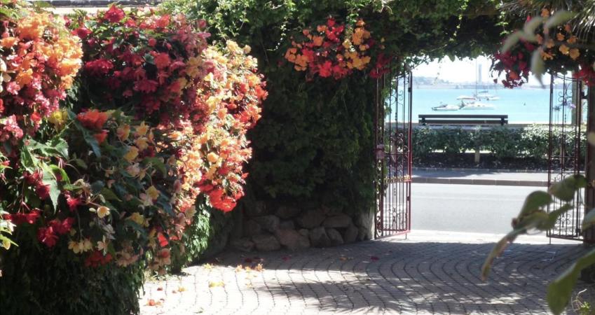 Image 15