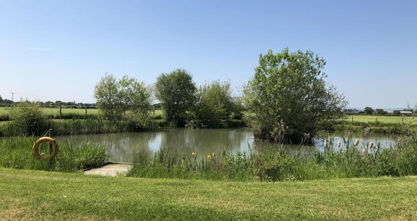 Image 15