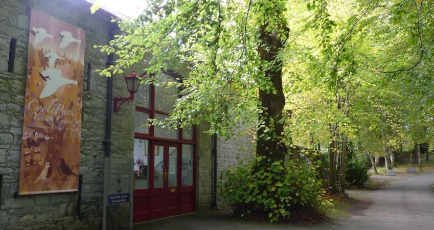 Second Image
