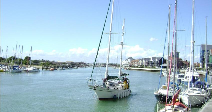 Image 5