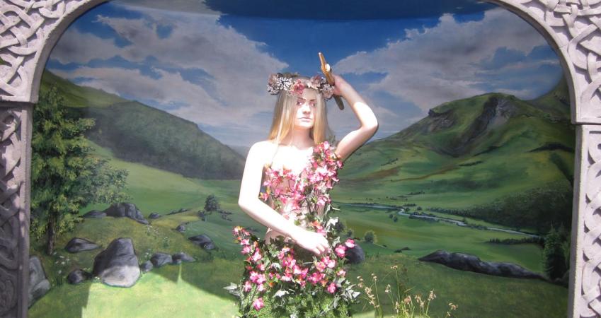 Image 4