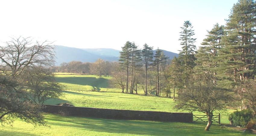 Second Image
