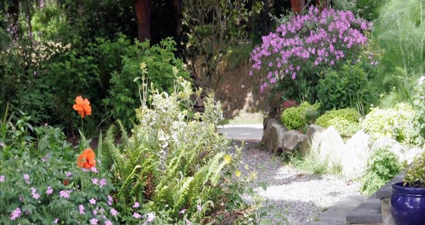 Image 14