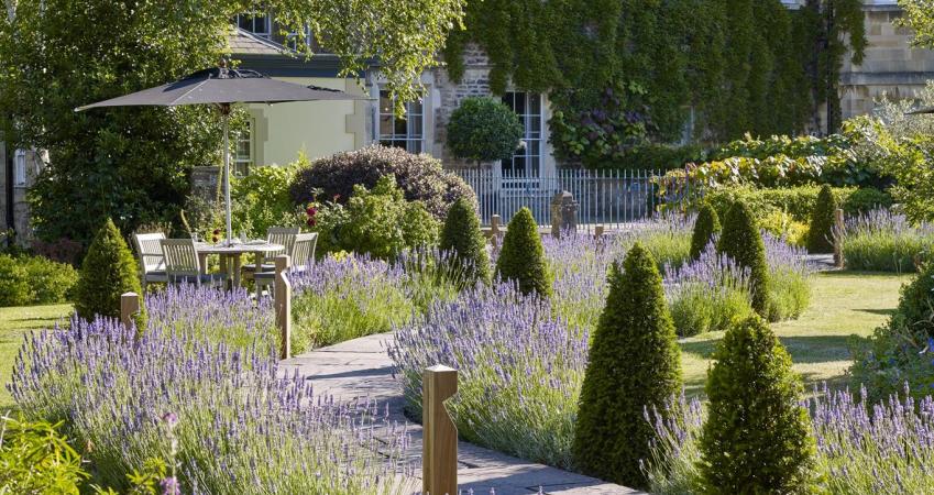 Image 20
