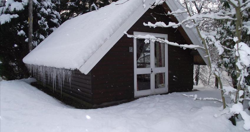 Image 13