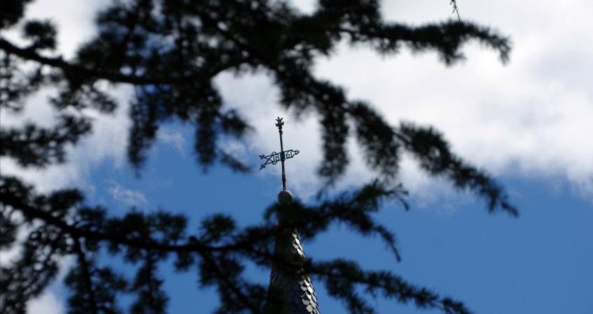 Image 12