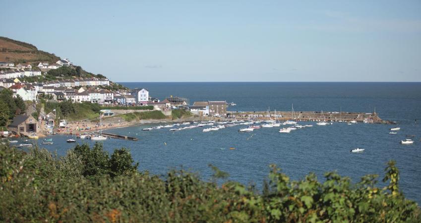 Image 15