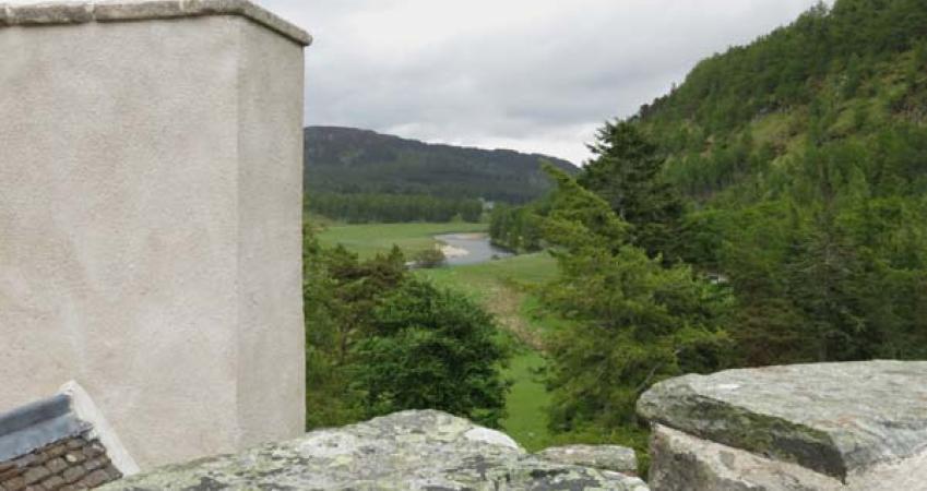 Second Image