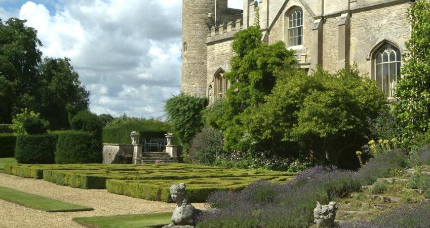 Image 4