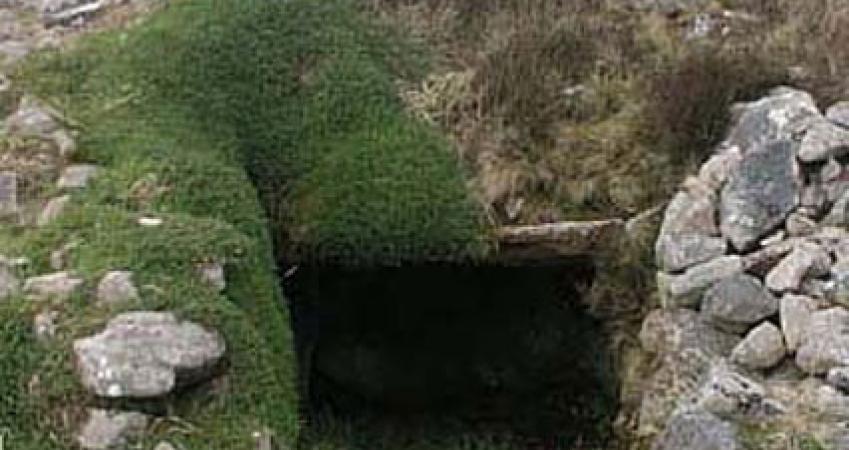 First Image