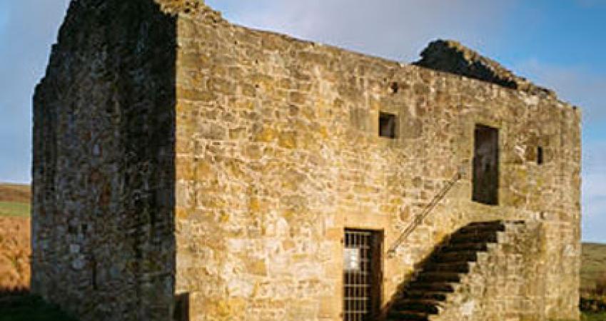 First Image