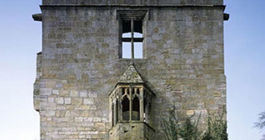 First Image