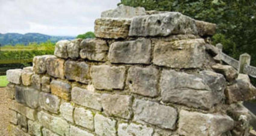 First Image