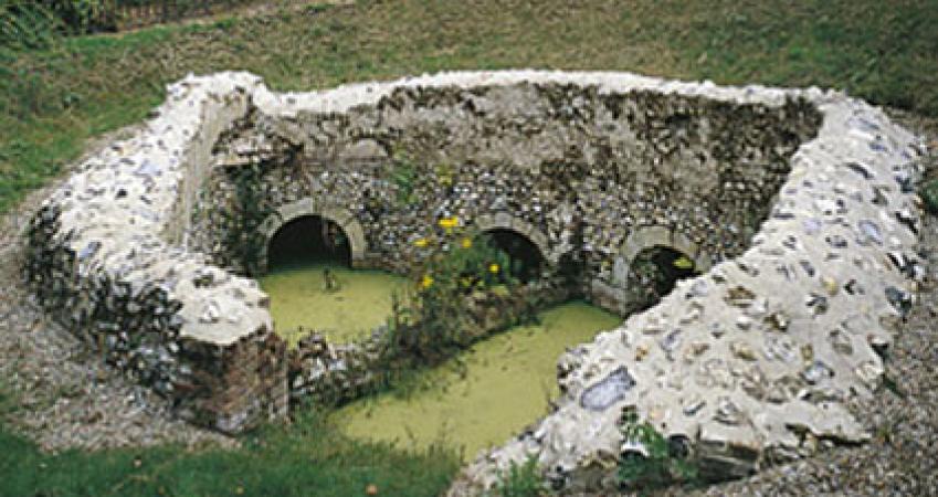 First Image