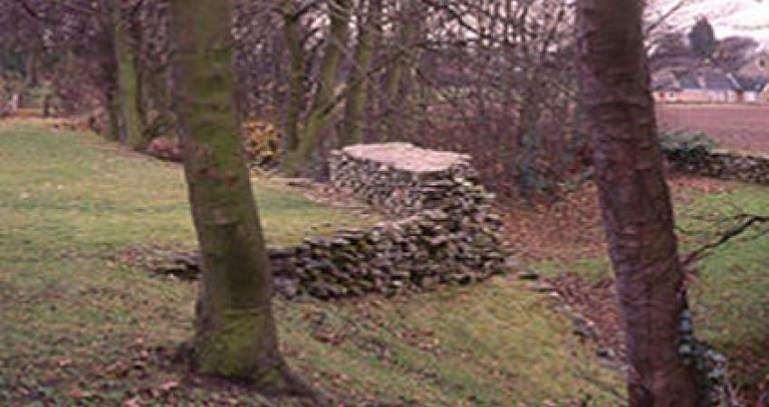 First Image