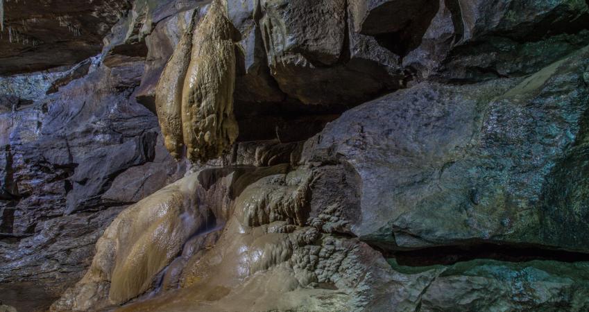 Second Image