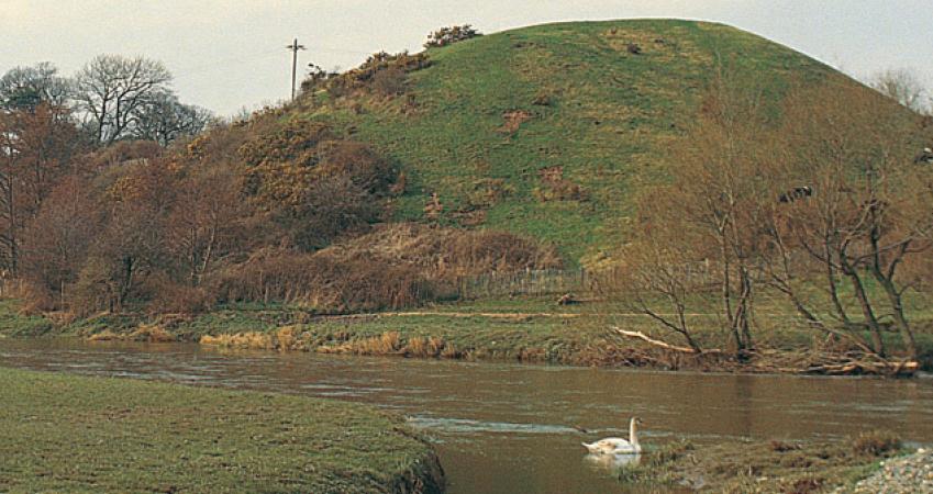 First Image