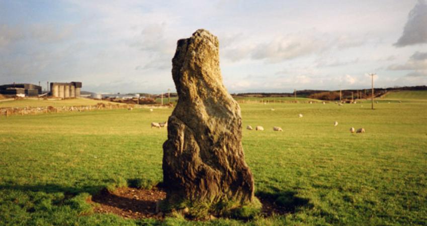 First Image