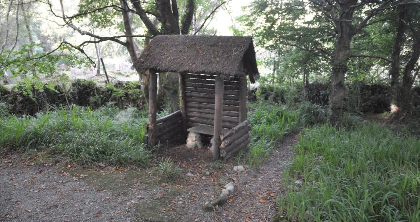 Image 15