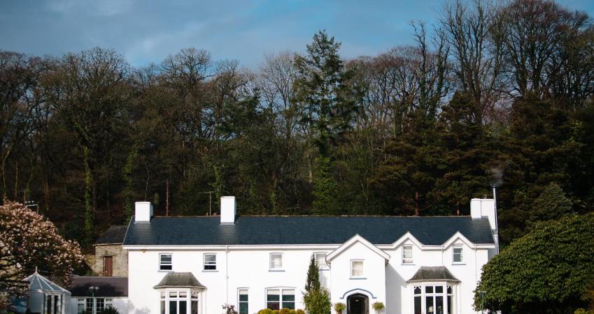 Second Image
