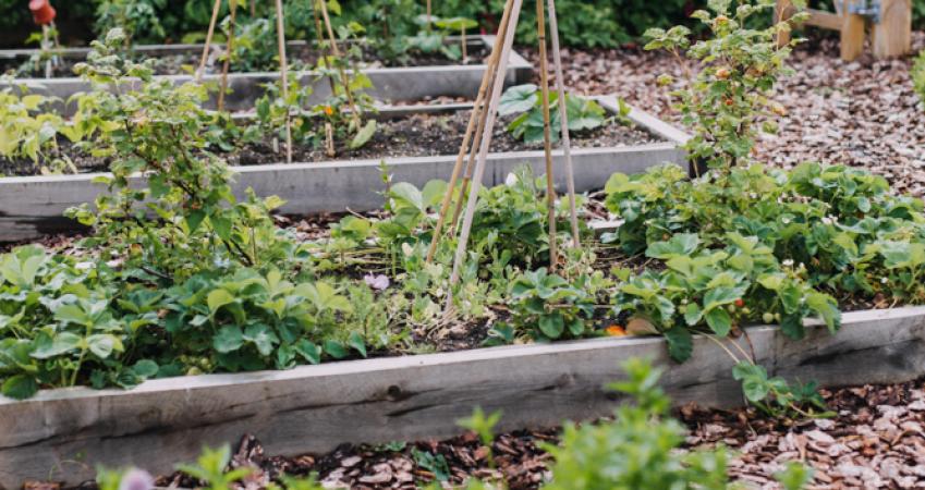 Image 14