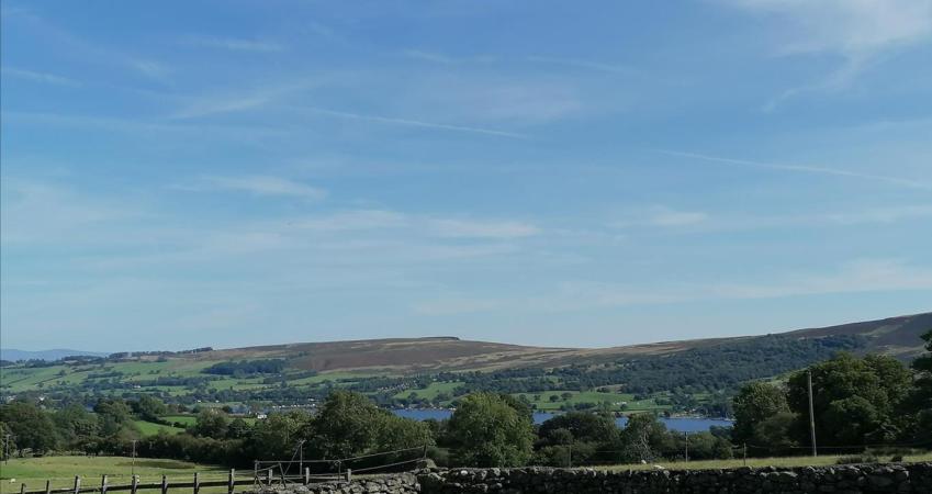 Image 14