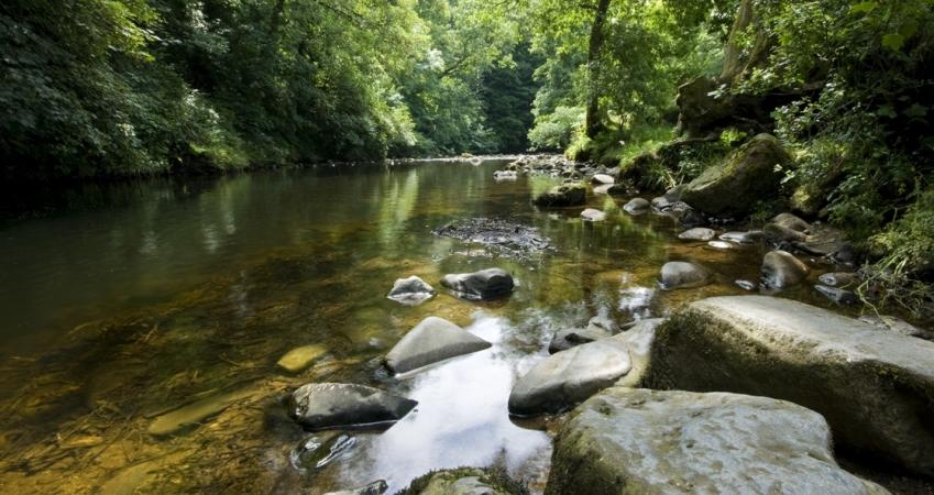 Second Image