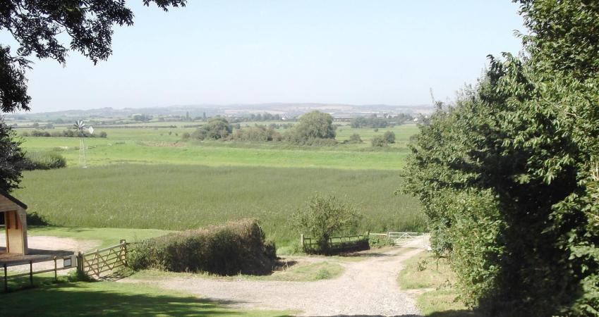 Second Image
