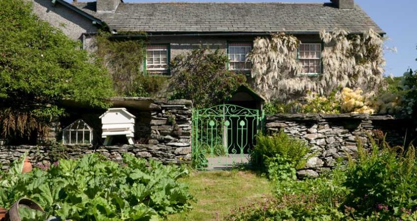 Image 5