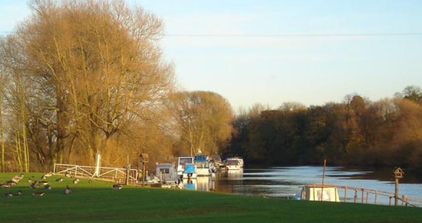 Second Image