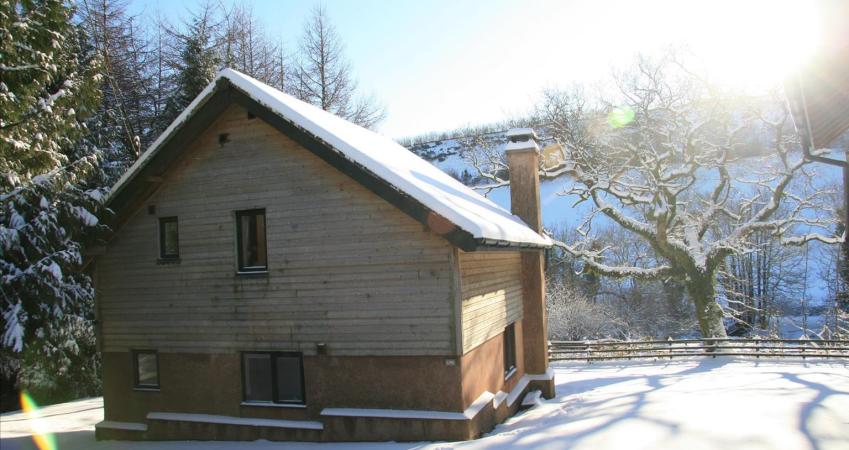 Image 19