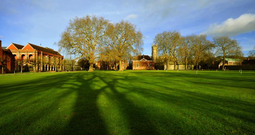 Image 4