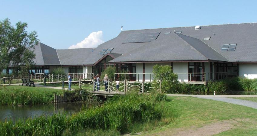 Second Image