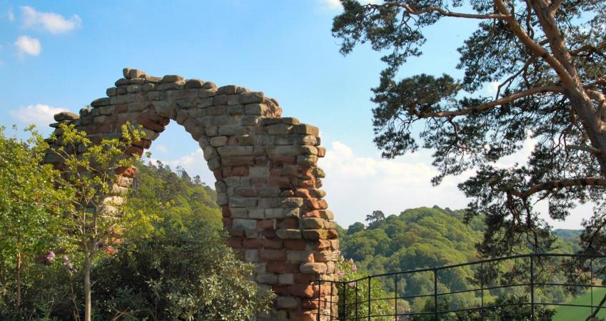 First Image