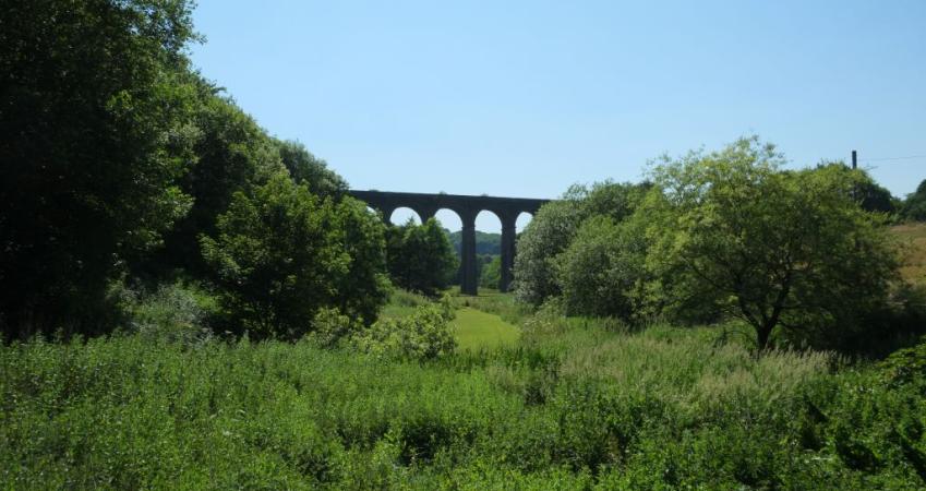 Image 11