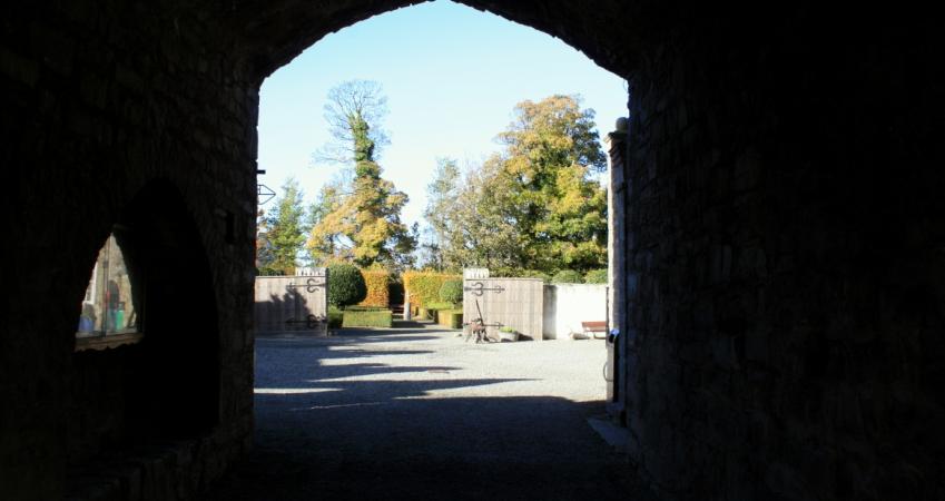 Second Image