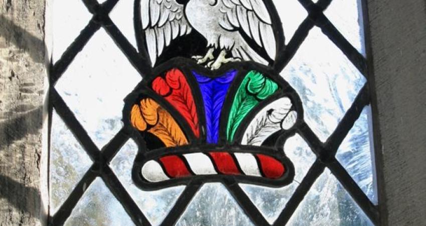 Image 5