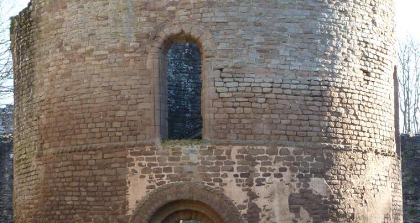 Image 3
