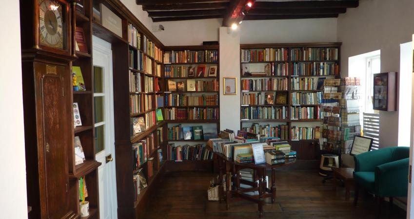 Image 5
