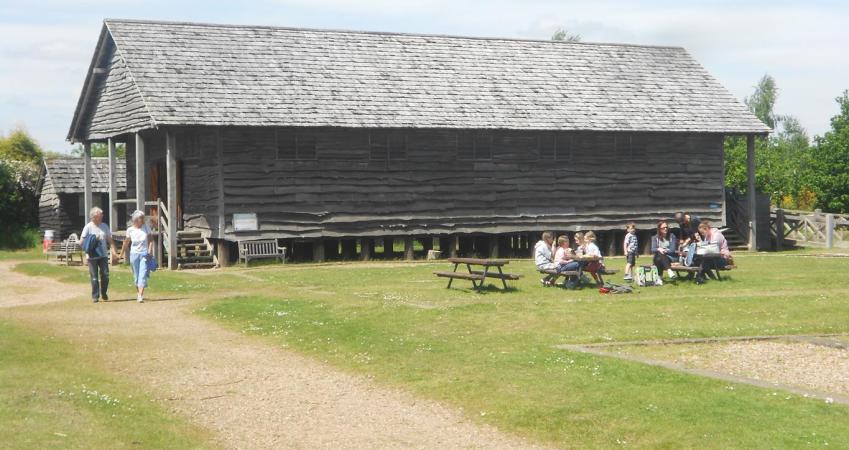 Image 4