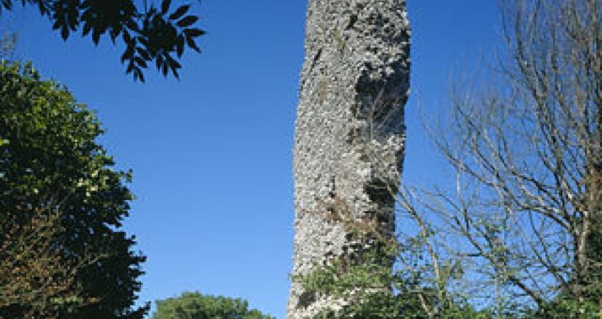 First Image